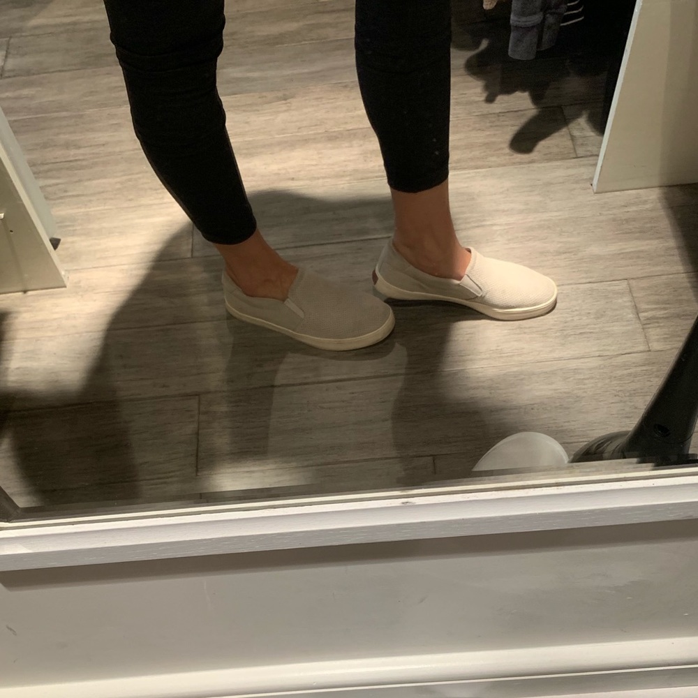 Dr. Sholl’s slides